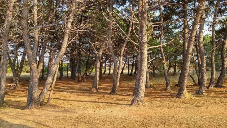 Gizmo Villa Vir Dış mekan fotoğraf